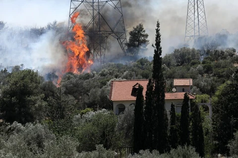 Hy Lạp: Nhiều người dân phải sơ tán do cháy rừng gần thủ đô Athens