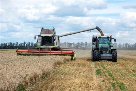 Thổ Nhĩ Kỳ hy vọng sẽ đạt tiến triển về thỏa thuận ngũ cốc với Nga