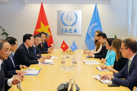 Việt Nam sẽ tích cực tham gia dự án hợp tác kỹ thuật IAEA khởi xướng