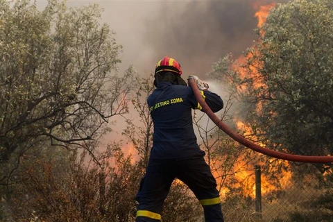 Hy Lạp nỗ lực khống chế các vụ cháy rừng nghiêm trọng hoành hành