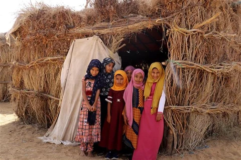 WFP dừng các hoạt động phòng chống suy dinh dưỡng ở Yemen