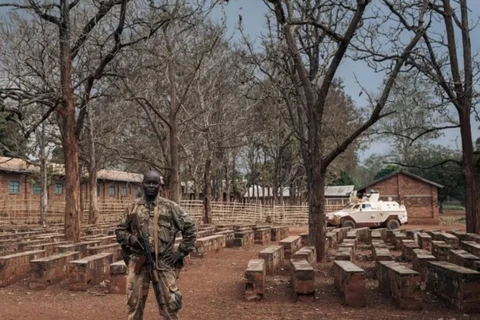 Tấn công vũ trang tại Cộng hòa Trung Phi khiến 13 người thiệt mạng