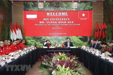 Việt Nam và Indonesia cần tăng cường hơn nữa quan hệ hợp tác