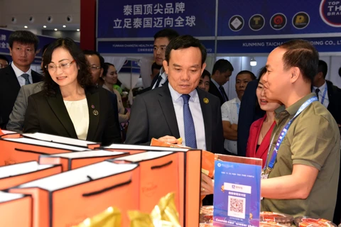 Phó Thủ tướng Chính phủ Trần Lưu Quang tham quan gian hàng Việt Nam tại Hội chợ. (Ảnh: Mạnh Cường/TTXVN)