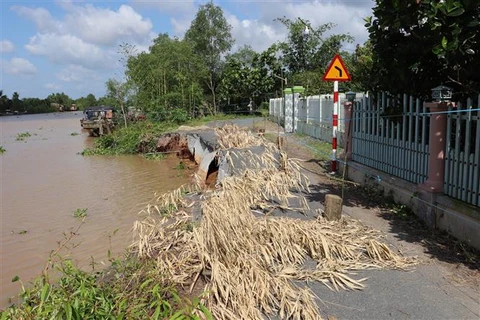 Đánh giá mức độ sạt lở bờ sông, bờ biển 5 tỉnh Đồng bằng sông Cửu Long