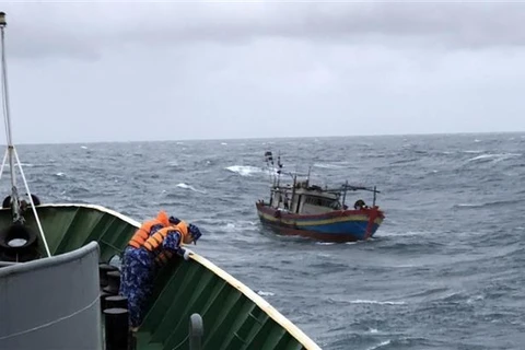 Chìm tàu cá khi hoạt động trên biển, 4 lao động được cứu an toàn