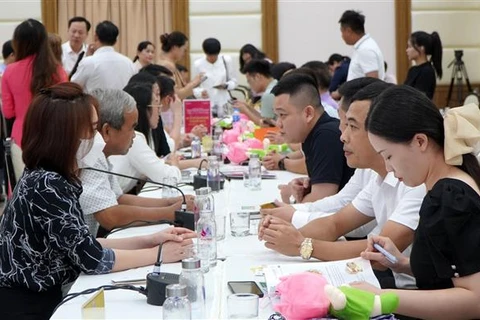 Kết nối giao thương giữa doanh nghiệp Đồng Tháp và tỉnh Quảng Tây