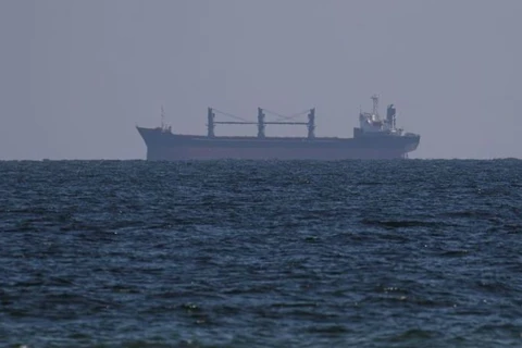 Các tàu chở ngũ cốc trên Biển Đen đã đến cảng của Ukraine