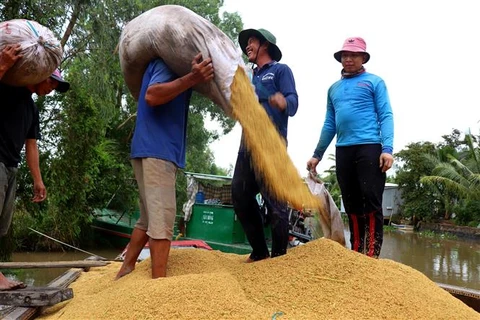 Giá gạo Việt Nam đi lên, đậu tương hướng tới tuần tăng thứ hai