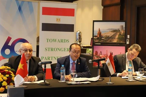 Việt Nam và Ai Cập trao đổi kinh nghiệm thu hút Tài chính Xanh