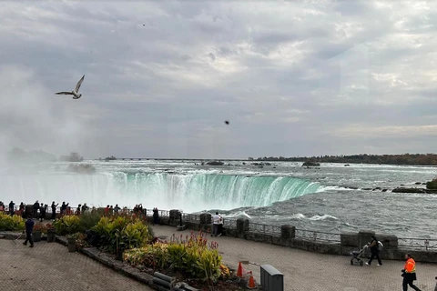 Vẻ đẹp của Niagara - cửa ngõ giao thương chính giữa Canada và Mỹ