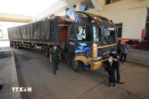 Lực lượng chức năng kiểm tra xe container đang làm thủ tục thông quan tại Cửa khẩu Quốc tế Xa Mát. (Ảnh: Minh Phú/TTXVN)