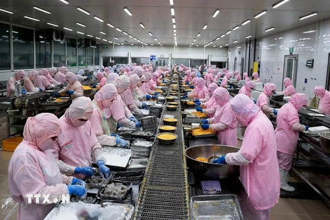 Dây chuyền chế biến tôm xuất khẩu tại Công ty Phát triển Kinh tế Duyên Hải - COFIDEC, Khu công nghiệp Vĩnh Lộc, huyện Bình Chánh, Thành phố Hồ Chí Minh. (Ảnh: Hồng Đạt/TTXVN)
