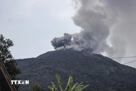 Tro bụi phun lên từ Núi lửa Marapi ở Tây Sumatra, Indonesia, ngày 6/12. (Ảnh: THX/TTXVN)