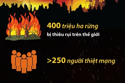 Hơn 250 người thiệt mạng do các vụ cháy rừng trong năm 2023