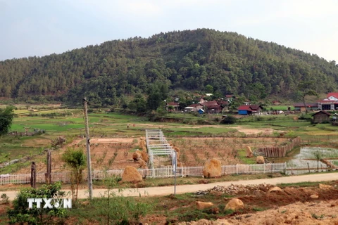  Bộ Tài nguyên và Môi trường phấn đấu nâng cao chỉ số tiếp cận đất đai. (Ảnh: Cao Nguyên/TTXVN)