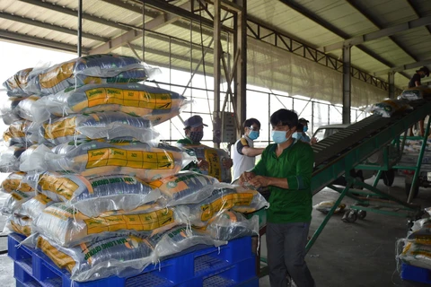 Sản xuất gạo tại Công ty Cổ phần Tập đoàn Tân Long - Chi nhánh Đồng Tháp (xã Định An, huyện Lấp Vò, Đồng Tháp). (Ảnh: Nhựt An/TTXVN)