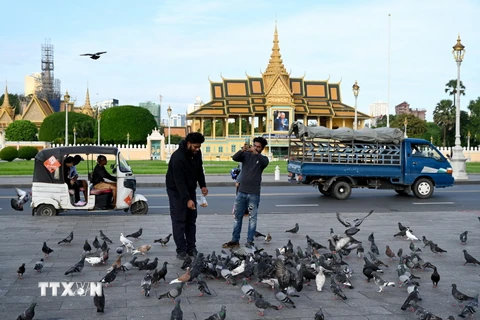 Khách du lịch cho bồ câu ăn tại Phnom Penh, Campuchia. (Ảnh: AFP/TTXVN)