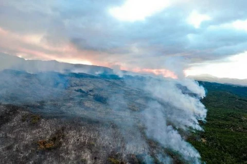 Trận hỏa hoạn đã thiêu rụi khoảng 8.205 ha khu bảo tồn thiên nhiên. (Nguồn: AFP)