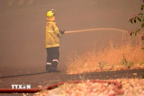 Lính cứu hỏa dập lửa cháy rừng tại phía Đông thành phố Perth, ngày 21/12/2023. (Ảnh: AFP/TTXVN)