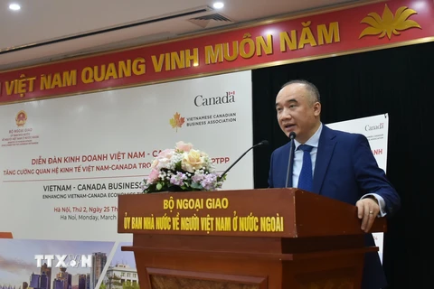 Phó Chủ nhiệm Ủy ban Nhà nước về người Việt Nam ở nước ngoài Nguyễn Mạnh Đông phát biểu khai mạc tại Diễn đàn. (Ảnh: Diệp Trương/TTXVN)