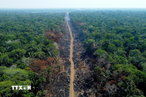 Khoảng rừng Amazon bị đốt phá tại Humaita, bang Amazonas, Brazil. (Ảnh: AFP/TTXVN)