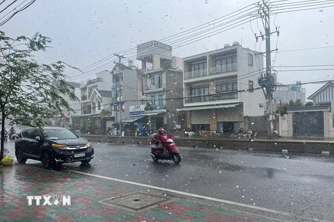 Mưa giúp khu vực huyện Hóc Môn, Thành phố Hồ Chí Minh hạ nhiệt, không khí mát mẻ. (Ảnh: Tiến Lực/TTXVN)