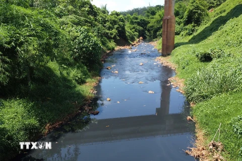 Bình Phước: Ô nhiễm nghiêm trọng tại dòng suối chảy quanh huyện Phú Riềng