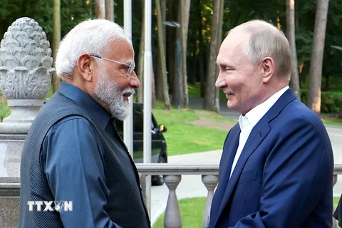 Thủ tướng Ấn Độ Narendra Modi (trái) và Tổng thống Nga Vladimir Putin tại cuộc gặp ở Moskva ngày 8/7. (Ảnh: ANI/TTXVN)