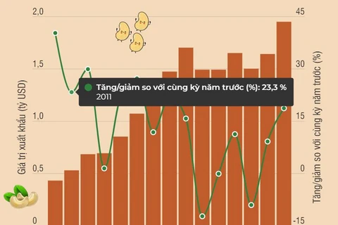 Xuất khẩu hạt điều tăng 18,7% trong 6 tháng đầu năm