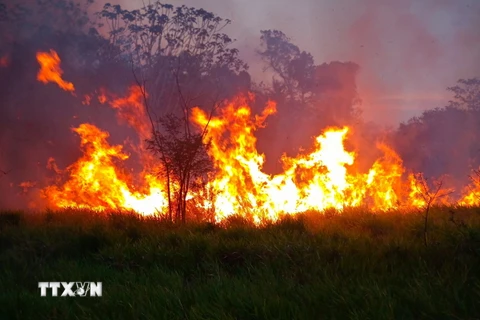 (Ảnh minh họa. AFP/TTXVN)