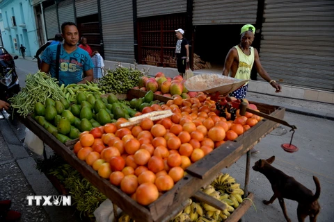 Người dân bán rau quả trên đường phố tại La Habana, Cuba, ngày 11/6/2019. (Ảnh: AFP/ TTXVN)