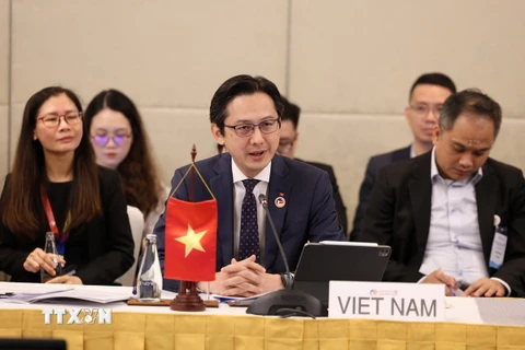 Trưởng SOM ASEAN Việt Nam Đỗ Hùng Việt tham dự một Hội nghị Quan chức Cao cấp (SOM) ASEAN. (Ảnh: TTXVN phát)