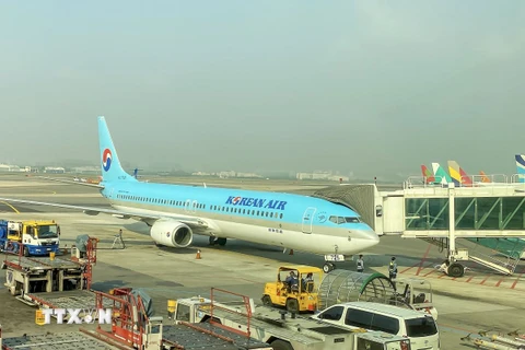 Máy bay của hãng Korean Air tại sân bay quốc tế Kimpo, Hàn Quốc. (Ảnh: Anh Nguyên/TTXVN)