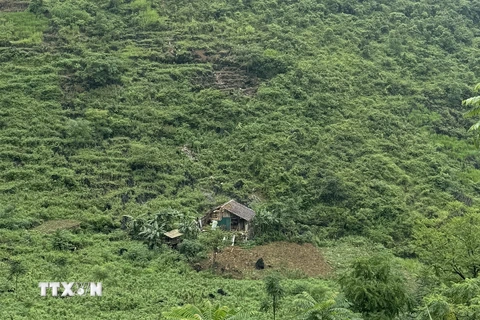 Vị trí ngôi nhà ở xóm Lũng Tu, xã Thượng Thôn, huyện Hà Quảng, tỉnh Cao Bằng bị đá lở. (Ảnh: TTXVN phát)