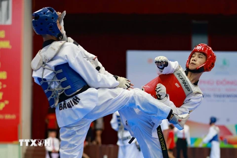 Thi đấu đối kháng môn Taekwondo. (Ảnh minh họa. Thanh Tùng/TTXVN)