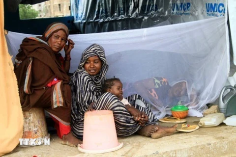 Người dân sơ tán tránh xung đột và lũ lụt tới khu lều tạm ở Kassala, Sudan, ngày 11/8. (Ảnh: Getty Images/TTXVN)