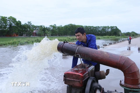 Bơm nước chống úng cho lúa. (Ảnh minh họa. Công Luật/TTXVN)