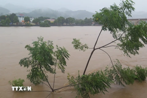 Mực nước trên sông Hồng, đoạn qua thành phố Lào Cai lên tới 83,91m, cao trên báo động 3 là 0,41m. (Ảnh: Hương Thu/TTXVN)