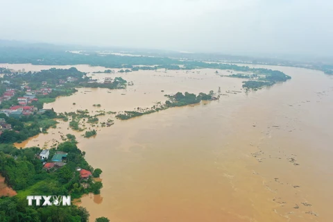 Nước lũ trên sông Hồng đoạn qua Yên Bái tiếp tục lên chậm sau đó đạt đỉnh ở mức 34,00m (trên báo động 3: 2,0m), sau xuống chậm. (Ảnh: Tuấn Anh/TTXVN)