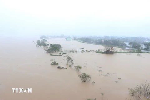 Mực nước trên sông Thái Bình, đoạn cầu Hàn (thành phố Hải Dương) lúc 10h sáng 11/9/2024. (Ảnh: Mạnh Minh/TTXVN)