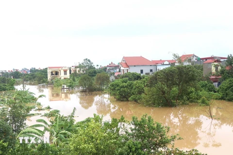 Nước sông Hồng lên cao khiến một số khu vực của thành phố Hưng Yên bị ngập. (Ảnh: Đinh Văn Nhiều/TTXVN)