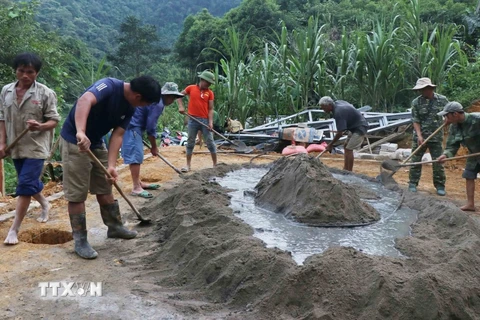 (Ảnh minh họa. Nguyễn Công Hải/TTXVN)