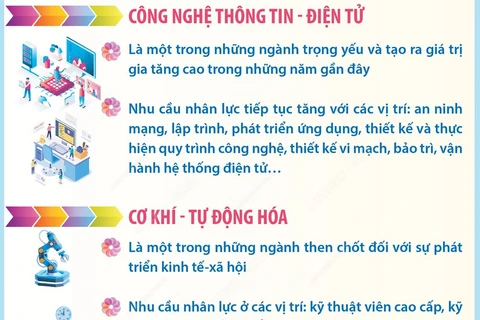 Một số ngành tiếp tục có xu hướng hút nhân lực ở Bà Rịa-Vũng Tàu