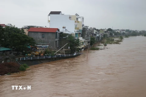 Lũ trên sông Vệ (Quảng Ngãi) lên nhanh áp sát một khu dân cư. (Ảnh: Phạm Cường/TTXVN)