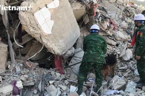 Đội chó nghiệp vụ tìm kiếm cứu nạn Bộ Tư lệnh Bộ đội Biên phòng tham gia cứu hộ tại Thổ Nhĩ Kỳ.