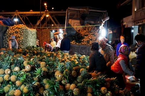[Photo] Tấp nập cảnh mưu sinh về đêm ở chợ đầu mối Long Biên