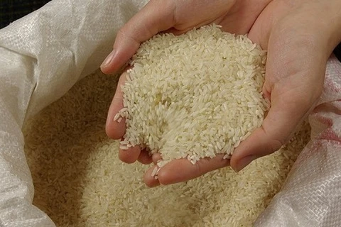 Hàn Quốc: Tiêu thụ gạo bình quân đầu người giảm kỷ lục