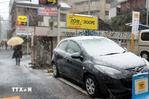 [Photo] Nhật Bản hứng chịu trận mưa tuyết lớn trên diện rộng