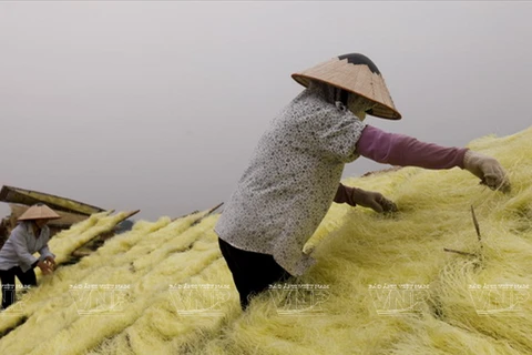 [Photo] Hà Nội: Công phu nghề làm miến truyền thống của làng So